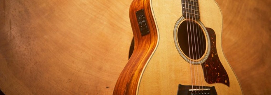 Cinco guitarras Taylor excelentes para estudiantes
