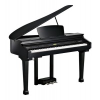 Kurzweil KAG100-BP |  Piano Digital Grand 88 Teclas